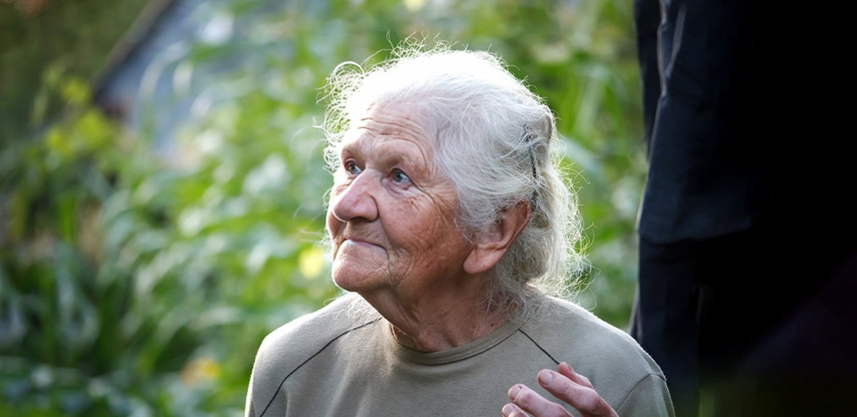 Dignity in Every Chapter.